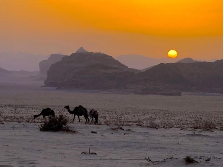 וואדי רם White Desert Camp מראה חיצוני תמונה