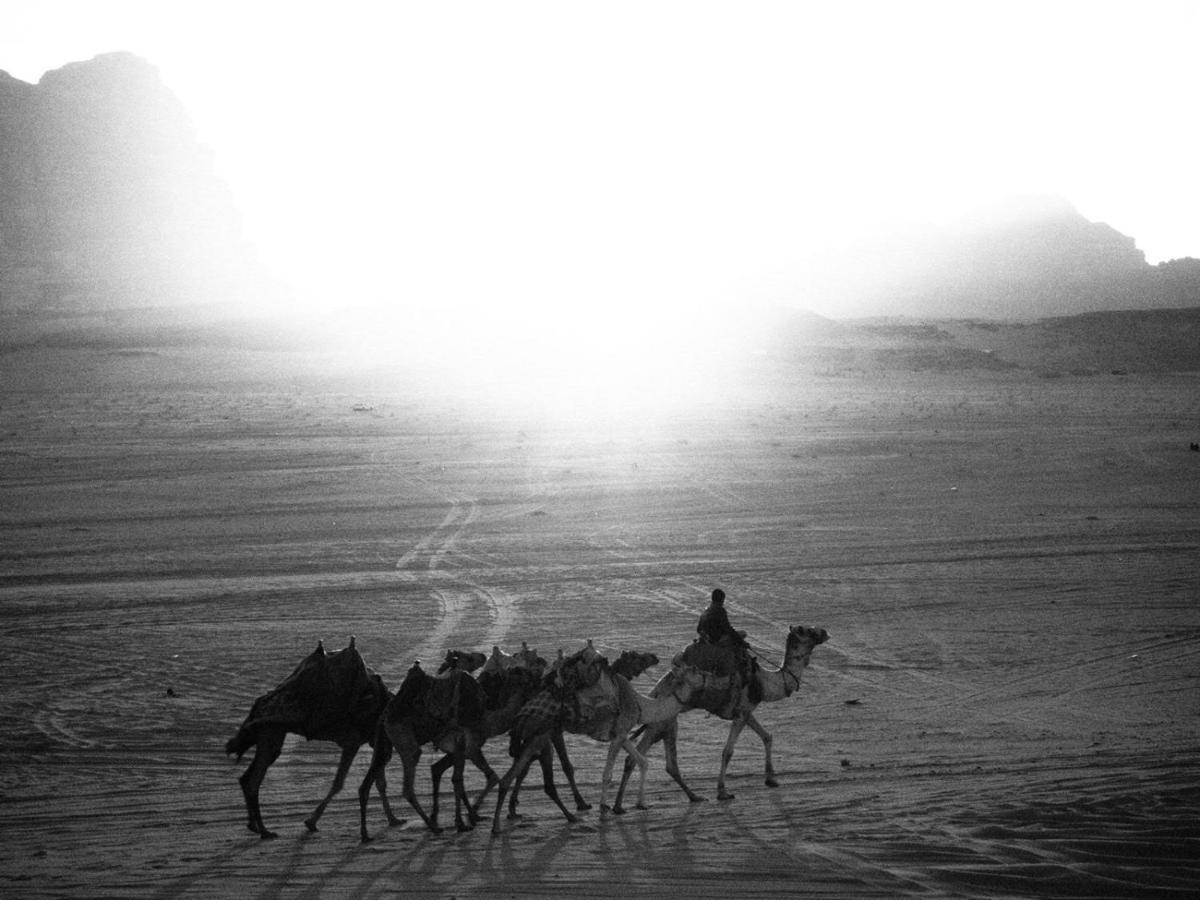 וואדי רם White Desert Camp מראה חיצוני תמונה